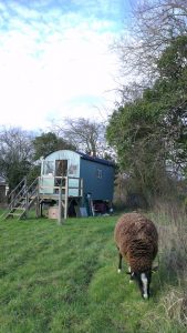 Shepherd's hut at Day's Cottage